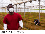 African-american farmer in protective medical mask in orangery. Стоковое фото, фотограф Яков Филимонов / Фотобанк Лори
