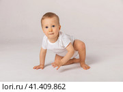 Happy laughing screaming toddler baby in diaper and white bodysuit is crawling on all fours looking at upper corner over white background. Happy infancy and babyhood concept. Стоковое фото, фотограф Ирина Михайличенко / Фотобанк Лори