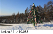 Рукотворное шаман-дерево в окрестности города Нерюнгри (2019 год). Стоковое видео, видеограф Олег Хархан / Фотобанк Лори