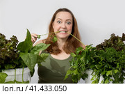 Young woman with a set of green Ingredients lettuce, spinach for a healthy diet. Стоковое фото, фотограф Ольга Коваленко / Фотобанк Лори