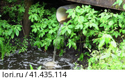 unauthorized discharge of liquid waste and from an industrial pipe into a stream. Стоковое видео, видеограф Андрей Знаменский / Фотобанк Лори