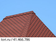 Decorative metal tile on a roof. Стоковое фото, фотограф Леонид Еремейчук / Фотобанк Лори