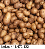 Seamless background of scattered tubers of ripe potatoes. Generated by AI. Стоковое AI-изображение, AI-художник Ярославский Максим / Фотобанк Лори