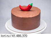 homemade chocolate cake decorated with red chili mastic. Стоковое фото, фотограф Андрей Аркуша / Фотобанк Лори