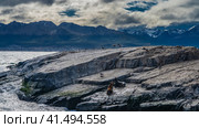 Sea lions are resting on the slope of a rocky islet. Cormorants, seabirds fly, sit on cliffs. In the distance, at the foot of the mountain range, city houses are visible. Clouds in the sky. Argentina. Стоковое фото, фотограф Вера Ивановна Кубарева / Фотобанк Лори