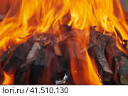 Pile of firewoods in the fire flames in the roaster closeup. Picnic concept. Стоковое фото, фотограф Воловодов Владимир / Фотобанк Лори