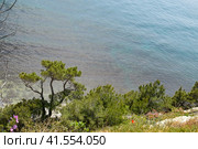 Seascape, view from the cliff, Tsemes bay. Стоковое фото, фотограф Леонид Еремейчук / Фотобанк Лори