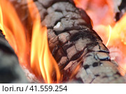 Hot coals in the stove. Стоковое фото, фотограф Леонид Еремейчук / Фотобанк Лори