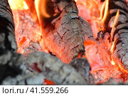 Hot coals in the stove. Стоковое фото, фотограф Леонид Еремейчук / Фотобанк Лори