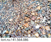 Retaining net on the slope. The net keeps the pebble from scattering. Стоковое фото, фотограф Леонид Еремейчук / Фотобанк Лори