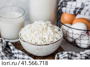 Fresh dairy products, milk, cottage cheese, eggs in stylish ceramic dishes on a gray background. The concept of natural, dietary nutrition. Useful products. Стоковое фото, фотограф Photojuli / Фотобанк Лори