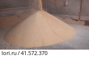 Process of preparing feed for livestock on animal farm. Crushed corn germ meal poured from grinder pipe into storage shed. Стоковое видео, видеограф Яков Филимонов / Фотобанк Лори