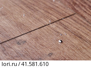 Drops of mercury on the floor from a broken thermometer. Liquid metal mercury on laminate, close-up. Стоковое фото, фотограф Андрей Журавлев / Фотобанк Лори