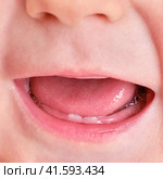 Teeth are teething at the infant baby, mouth close-up. Tongue and lower teeth incisors in a child at the age of six months. Стоковое фото, фотограф Андрей Журавлев / Фотобанк Лори
