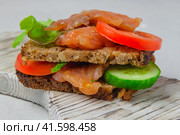 Trout bread snack with salad, vegetables and herbs laying on a white rustic board. Стоковое фото, фотограф Воловодов Владимир / Фотобанк Лори