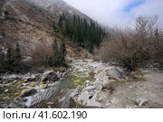 Пейзаж в Государственном природном парке Ала-Арча, Кыргызстан (2023 год). Редакционное фото, фотограф Римма Тельнова / Фотобанк Лори