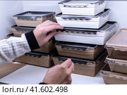Картонная упаковка для готовых продуктов от  компании Оригами (ТМ) на выставке Агропродмаш-2023. Редакционное фото, фотограф Сайганов Александр / Фотобанк Лори