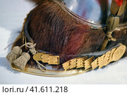 Helmet of the 19th century French cuirassier of the Napoleonic Wars. Стоковое фото, фотограф Андрей Журавлев / Фотобанк Лори