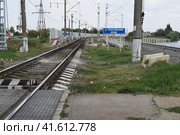 The railway, crossing the railway. The name of the river is Poltava Eric. Стоковое фото, фотограф Леонид Еремейчук / Фотобанк Лори