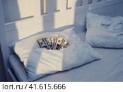 The money is hidden in a stash in a secret pillow A torn pillow with US dollars. Стоковое фото, фотограф Андрей Журавлев / Фотобанк Лори