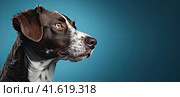 A young small dog looks away with an intelligent look. Place for the inscription. Generated by AI. Стоковое AI-изображение, AI-художник Ярославский Максим / Фотобанк Лори