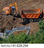 Bulldozers, excavators and a truck in the forest, top view - July 10, 2020, Moscow, Russia. Редакционное фото, фотограф Андрей Журавлев / Фотобанк Лори