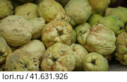 Pile of freshly harvested ripe ecologically grown quinces on market counter. Organic vitamin fruits. Стоковое видео, видеограф Яков Филимонов / Фотобанк Лори