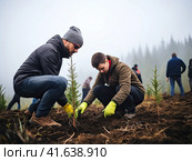 Environmental volunteers plant seedlings of spruce trees on the slopes of the mountains. Generated by AI. Стоковое AI-изображение, AI-художник Ярославский Максим / Фотобанк Лори