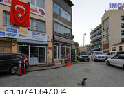 Улица в центре Стамбула, район Эминёню. Турция (2023 год). Редакционное фото, фотограф Bala-Kate / Фотобанк Лори