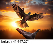 A man and a pigeon in flight against the background of the setting sun.Generated by AI. Стоковое AI-изображение, AI-художник Ярославский Максим / Фотобанк Лори