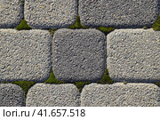 Industrial building background of paving slabs with overgrown with moss in the cracks. Texturing background. Стоковое фото, фотограф Леонид Еремейчук / Фотобанк Лори