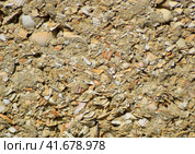 Background from a shell rock in cement. Стоковое фото, фотограф Леонид Еремейчук / Фотобанк Лори