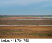 Landscape with wildlife. The floodplains of the Gulf of the Sea of Azov in early spring. Стоковое фото, фотограф Александр Кротков / Фотобанк Лори