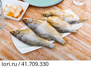 Air-dried salted gutted fish roach. Стоковое фото, фотограф Яков Филимонов / Фотобанк Лори