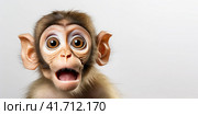 A cute little lop-eared monkey with an open mouth anThe concept of surprise. Generated by AI. Стоковое AI-изображение, AI-художник Ярославский Максим / Фотобанк Лори