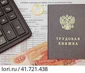 Справка о доходах и суммах налога физического лица, трудовая книжка калькулятор и российские деньги. Стоковое фото, фотограф Цибаев Алексей / Фотобанк Лори