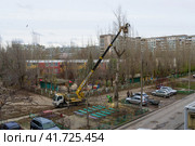 Волгоград, Тракторозаводский район, Россия. Рабочие на  специальном автомобиле автовышке проводят осеннюю обрезку деревьев во дворе жилого дома, городской пейзаж (2023 год). Редакционное фото, фотограф Андрей Цыганков / Фотобанк Лори