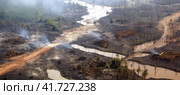 Bird's-eye view of lifeless water-flooded land of cut down and burnt rainforest. Banner. Стоковое AI-изображение, AI-художник Наталья Семкина / Фотобанк Лори