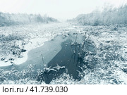 Snow covered marsh land. Wide angle shot. Стоковое фото, фотограф Катерина Ковалева / Фотобанк Лори