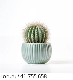 Single cactus in a blue pot on a white background. Стоковое AI-изображение, AI-художник Евгений Харитонов / Фотобанк Лори