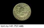 Монета Венгрии 1 пенгё 1938 на черном фоне. Reverse of old Hungary coin 1 pengo 1938, isolated in black background. 4k video. Стоковая анимация, аниматор Александр Кузнецов / Фотобанк Лори