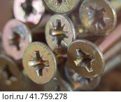 Abstract Industrial background. Shallow depth of field.  Macro photography of screws, background of screws, close-up of the heads of steel screws for a phillips screwdriver. Стоковое фото, фотограф Александр Кротков / Фотобанк Лори