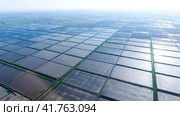 Flooded rice paddies. Agronomic methods of growing rice. Стоковое фото, фотограф Леонид Еремейчук / Фотобанк Лори