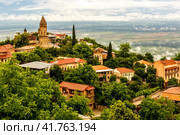 Beautiful view of small town Sighnaghi (Signagi) in Georgia. Стоковое фото, фотограф VittoriaChe / Фотобанк Лори