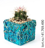 Turquoise pot with cactus. Стоковое фото, фотограф Любовь Назарова / Фотобанк Лори