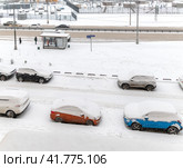 Шел снег ноябрьский (2023 год). Редакционное фото, фотограф Валерий Иванович Клейменов / Фотобанк Лори