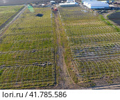 Frameworks of greenhouses, top view. Construction of greenhouses in the field. Agriculture, agrotechnics of closed ground. Стоковое фото, фотограф Леонид Еремейчук / Фотобанк Лори
