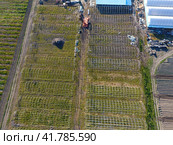 Frameworks of greenhouses, top view. Construction of greenhouses in the field. Agriculture, agrotechnics of closed ground. Стоковое фото, фотограф Леонид Еремейчук / Фотобанк Лори
