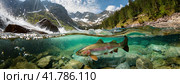 Close-up of a fish trout goes to spawn in a mountain river, underwater view. Стоковое AI-изображение, AI-художник Igor Tichonow / Фотобанк Лори