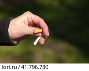Female hand breaks a cigarette. Стоковое фото, фотограф Радомир Тарасов / Фотобанк Лори